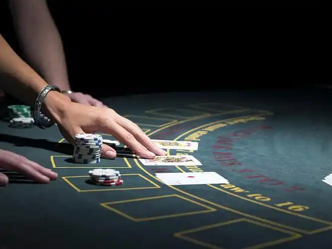 Live casino safety interface for kkkbd Bangladesh adult users